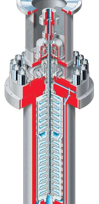 CAV Nuclear Pump designed for efficient and reliable performance in nuclear applications.